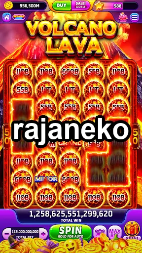 rajaneko Masuk